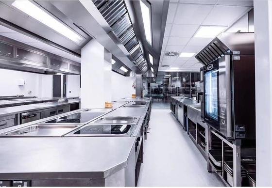 Apparecchiature da cucina per ristoranti a gas in acciaio inossidabile GL-RS-4G 192 kg Peso 3,95/5,66Kg/h Consumo