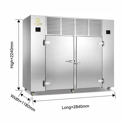 Unità di refrigerazione professionale a freddo con 15 vassoi per il controllo della temperatura di precisione