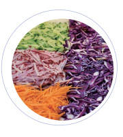 50Hz Frequenza nominale attrezzature di lavorazione della frutta con 110/140/170mm attraverso la larghezza del display digitale vegetable sliver